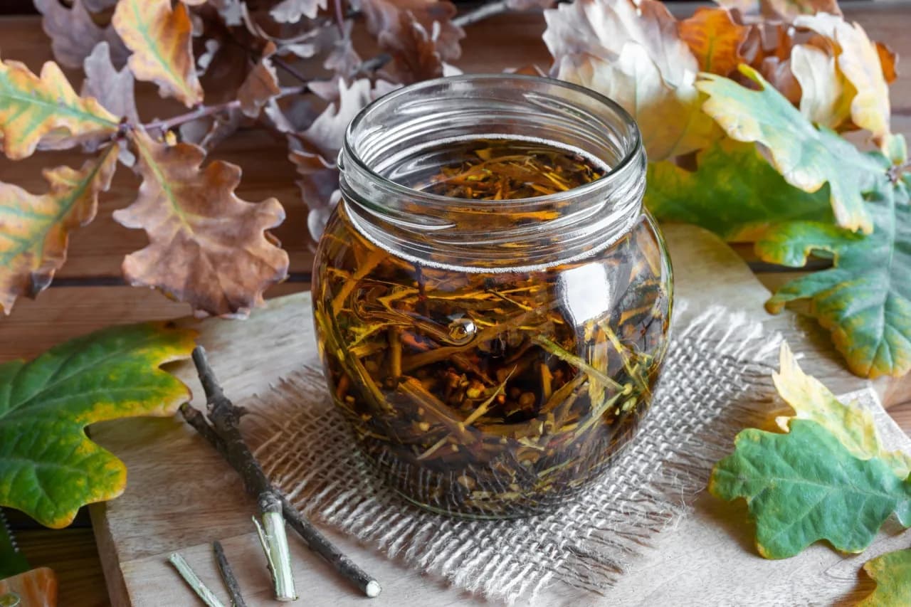 Napar z kory dębu na co pomaga? Poznaj jego niezwykłe właściwości