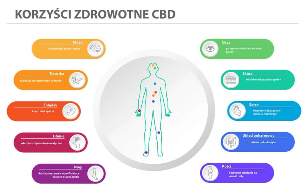 Cbd olejek co to jest – odkryj jego właściwości i zastosowanie