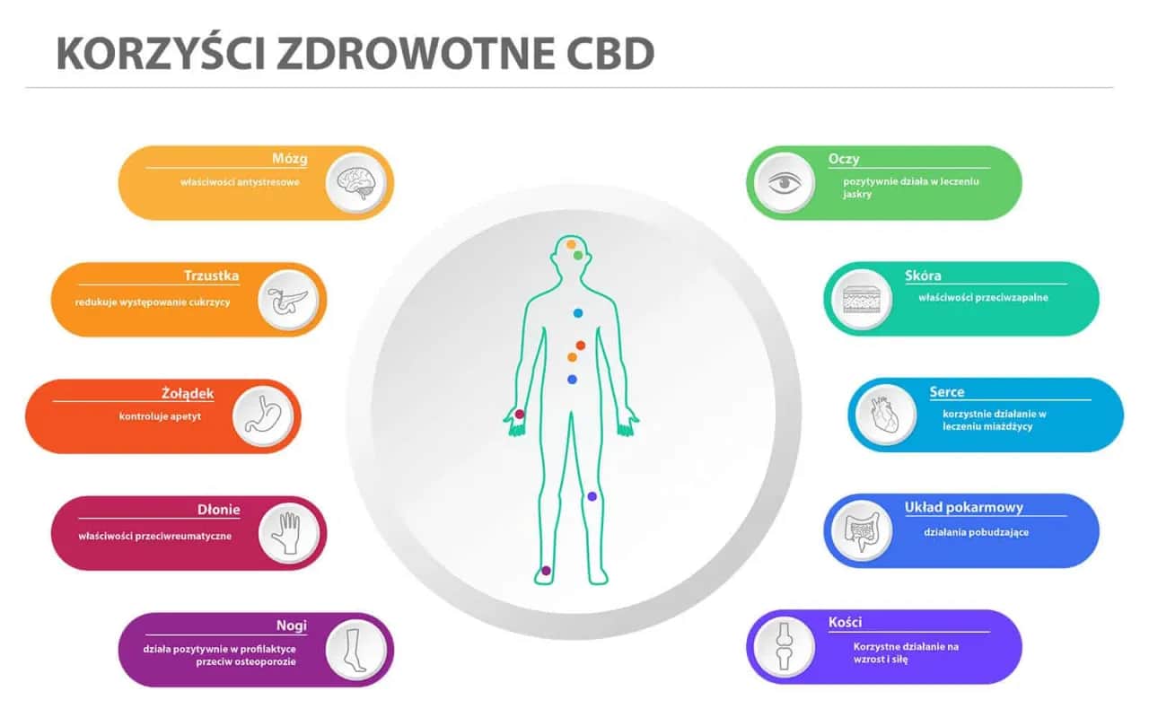 Cbd olejek co to jest – odkryj jego właściwości i zastosowanie