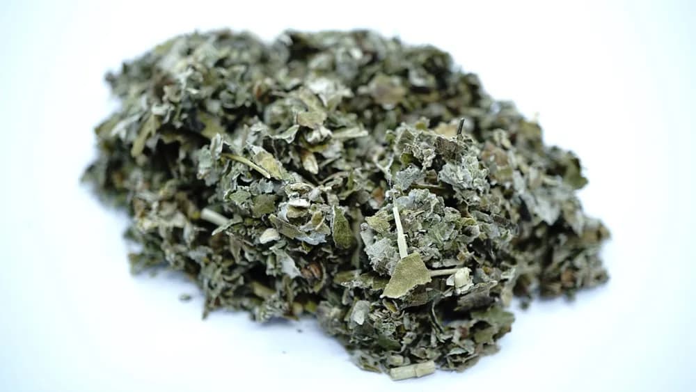 Gdzie kupić napar z liści malin i uniknąć niezdrowych alternatyw