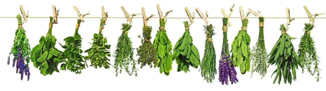 Medycyna chińska w Tychach: Jak skutecznie leczyć dolegliwości?