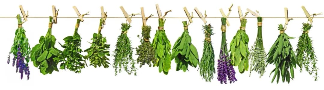 Medycyna chińska w Tychach: Jak skutecznie leczyć dolegliwości?