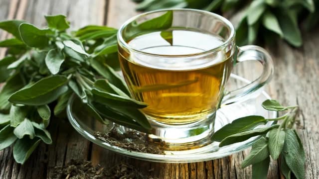 Czy napar z szałwii można pić? Sprawdź, co musisz wiedzieć!