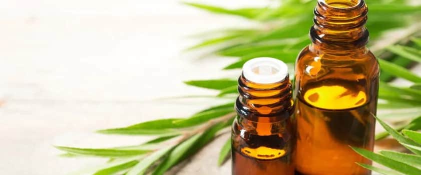 Jak stosować olejek z drzewa herbacianego na grzybicę paznokci skutecznie?