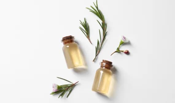 Czy olejek z drzewa herbacianego jest szkodliwy? Oto co musisz wiedzieć
