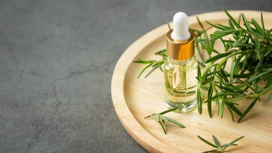 Jak zrobić olejek laurowo-rozmarynowy – prosty przepis i porady