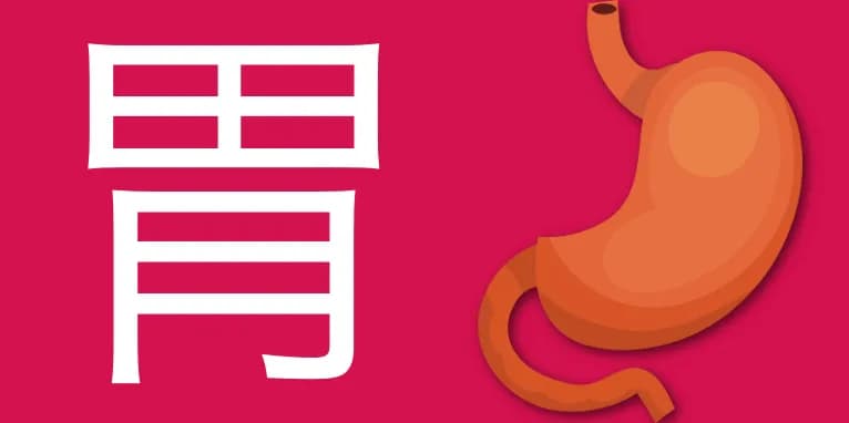 Medycyna chińska żołądek: jak poprawić zdrowie i uniknąć bólu