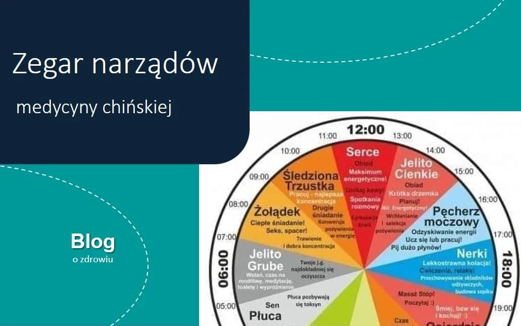 Zegar narządów medycyny chińskiej: jak czas wpływa na zdrowie?