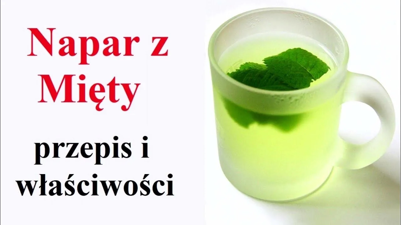 Jak zrobić napar z mięty, który zachwyci smakiem i orzeźwi