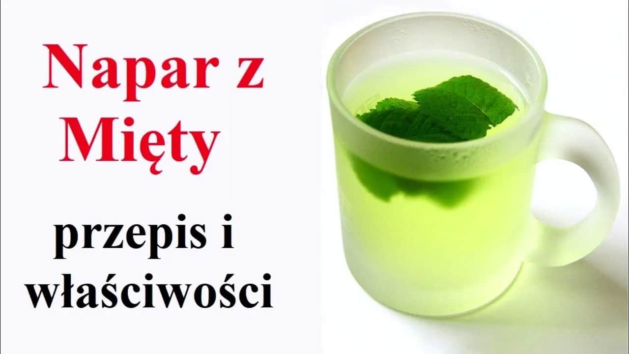 Jak zrobić napar z mięty, który zachwyci smakiem i orzeźwi