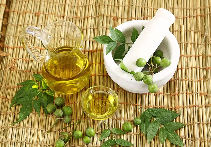 Gdzie kupić olejek z miodli indyjskiej? Sprawdź najlepsze opcje